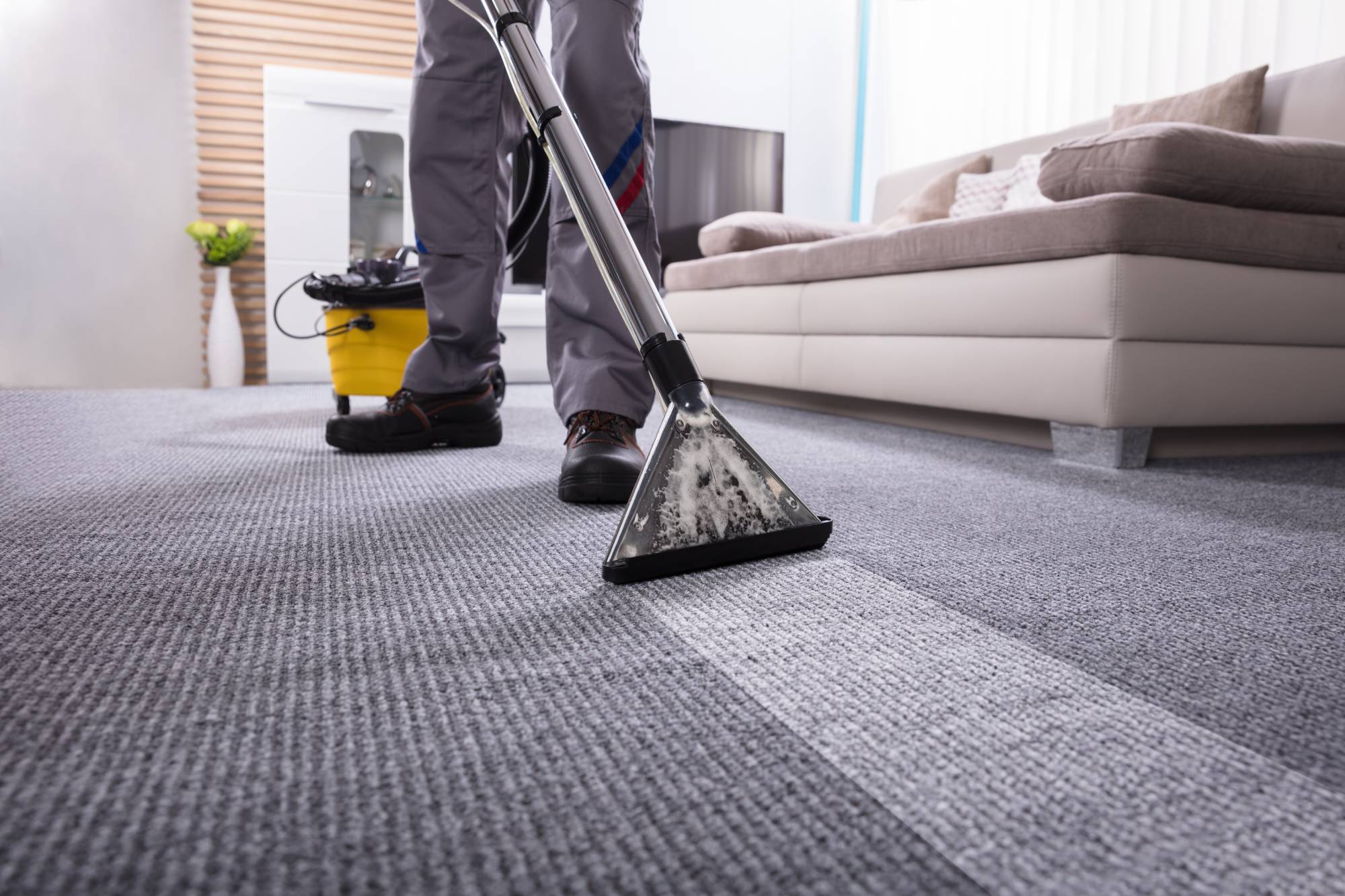Carpet Cleaning Tips for a Fresher, Healthier Home